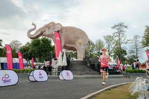 BIB: 
                            <button type="button" onclick="openModal(26528430)" class="btn btn-primary btn-sm float-right btn-popup" data-toggle="modal" data-target=".modal-high-quality">
                        <i class="fas fa-shopping-cart"></i> Add to Cart
                    </button>
                                            <button type="button" onclick="isThisMe(26528430, true)" class="btn btn-success btn-sm float-right btn-popup btn-isme hidden" data-toggle="tooltip" data-placement="bottom" title="นี่คือรูปของคุณใช่ไหม คลิกที่นี่เพื่อเอาเข้าอัลบั้ม">
                        <i class="fas fa-plus"></i> Add to album
                    </button>
                    <button type="button" onclick="isThisMe(26528430, false)" class="btn btn-warning btn-sm float-right btn-popup btn-isnotme hidden">
                        <i class="fas fa-ban"></i> Remove from album
                    </button>